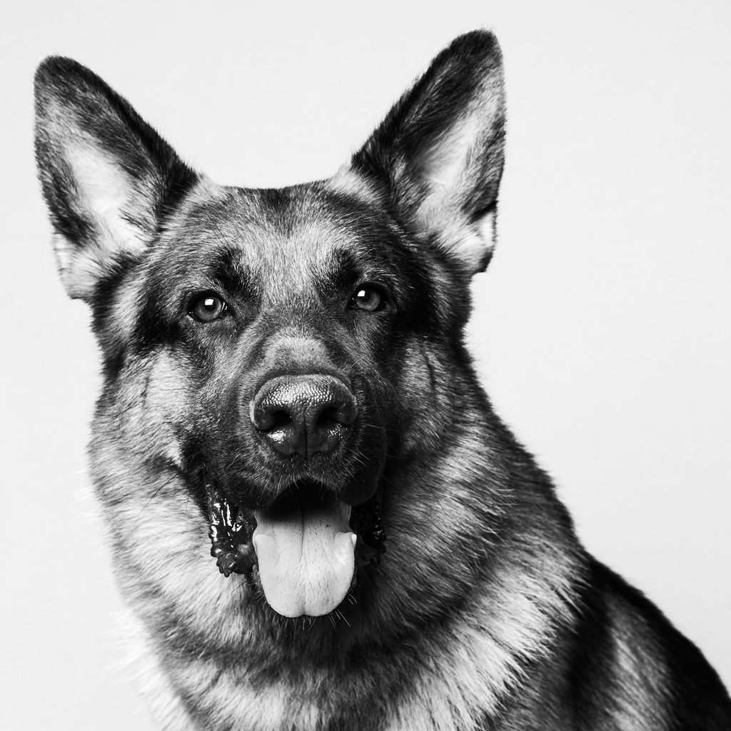 le souffle du vivant